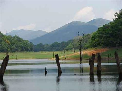 Thekkady - Kerala Photo (20703482) - Fanpop