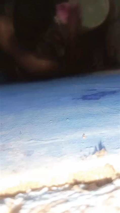 Free Gay Fuck Porn Videos XHamster