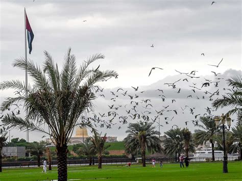 In Pictures Heavy Rains Lash Uae Weather Gulf News