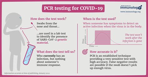 Covid 19 Testing Explained British Society For Immunology