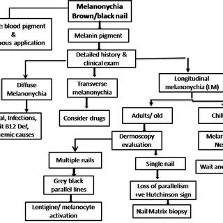 (PDF) Melanonychia: Etiology, Diagnosis, and Treatment