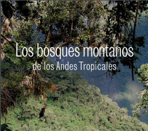 Bosques Montanos Bosques Andinos