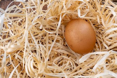 Premium Photo One Chicken Egg In The Nest Natural Chicken Egg Fresh