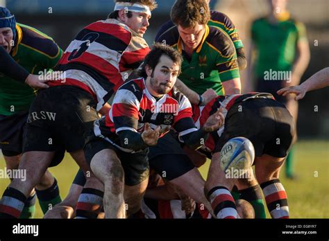 Rugby Scrum Half In Action Stock Photo Alamy