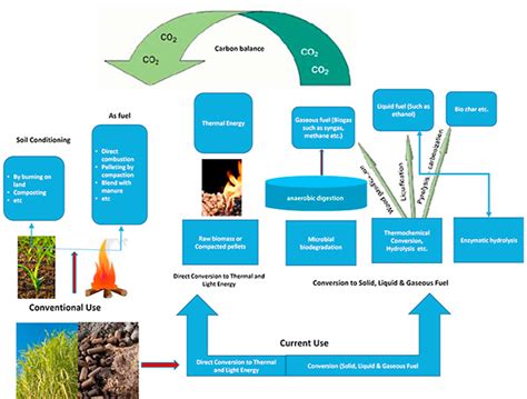 Possibility Of Utilizing Agriculture Biomass As A Renewable And Sustainable Future Energy Source