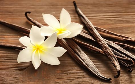 Premium Photo Vanilla Flower With Branches