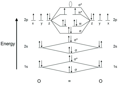 Oxygen Molecular Orbital Diagram