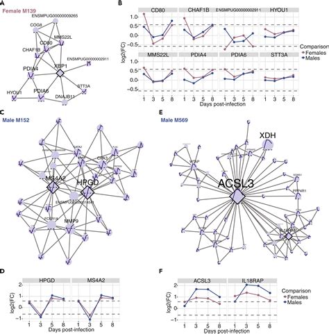 Sex Disparities In Influenza A Multiscale Network Analysis Iscience