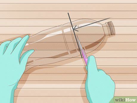 Formas De Crear Un Ecosistema En Una Botella Wikihow