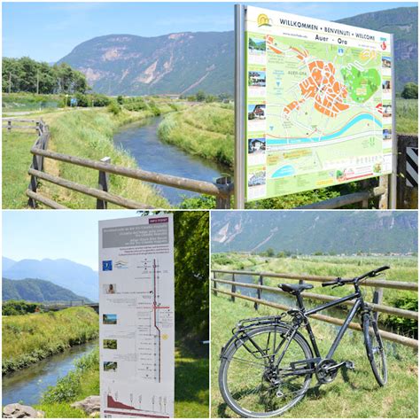 Piste Ciclabili Facili Da Non Perdere In Trentino Montagna Di Viaggi