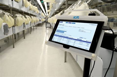 BALB c Nude小鼠 BALB c Nude Mice 维通利华 Charles River