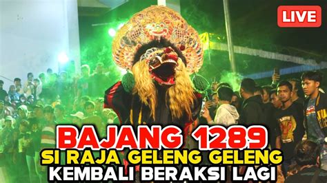 Saat Dengar Lagu Sholawat Padang Bulan Barongan Bajang Kembali Begoyang