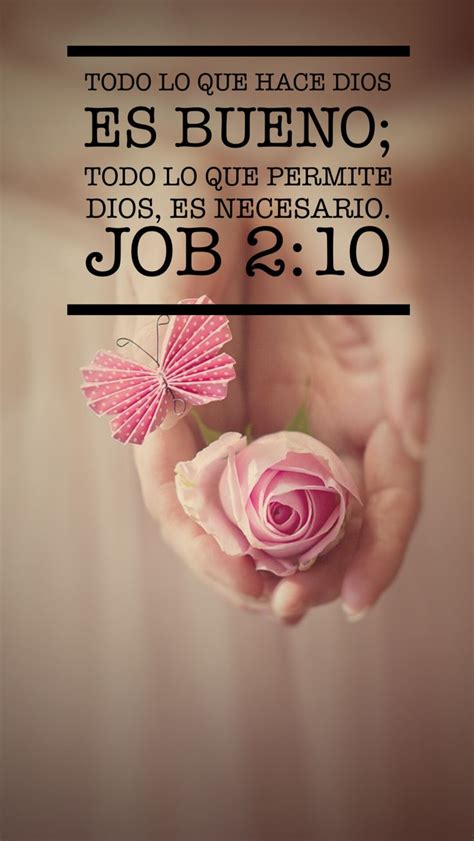 Pin De Judithcv En Textos M Os Agradecida Con Dios Frases Frases