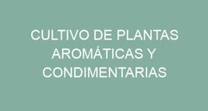 Cultivo de plantas aromáticas y condimentarias PlantasAromaticas ORG