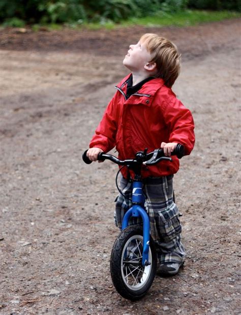 44 Best Toddler Bikes (June 2021) | BikeRide