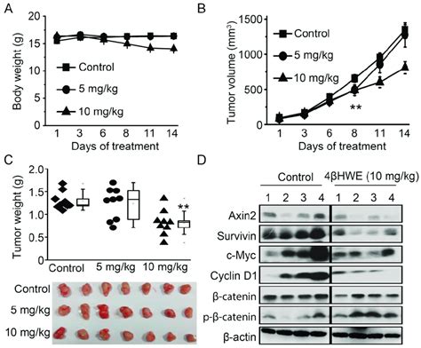 Hwe Inhibits Tumor Growth Of In Vivo Hct Xenograft Through Wnt