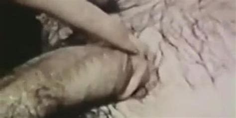 Watch Hundreds Of Free Hd Porn Videos With Suzanne Fields Try It Free Full Length Xxx Movies