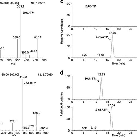 LC MS MS Assay Development And Validation For DAC TP Quantification