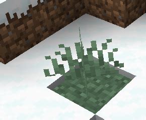 Snowy tall grass – Minecraft Feedback