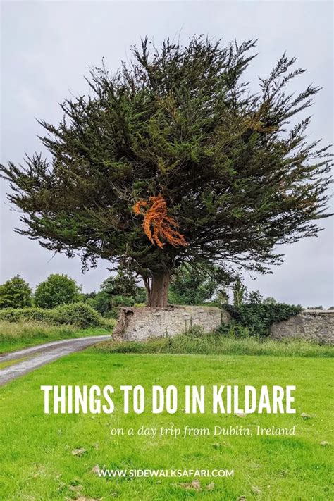 7 Of The Best Things To Do In Kildare On A Dublin Day Trip Sidewalk