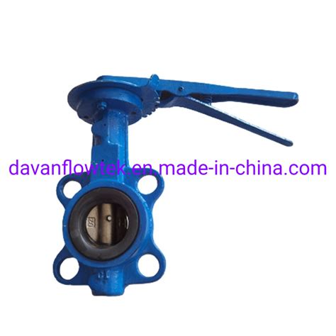 China Factory Eccentric Flanged Connection Check Valve Blue Ductile