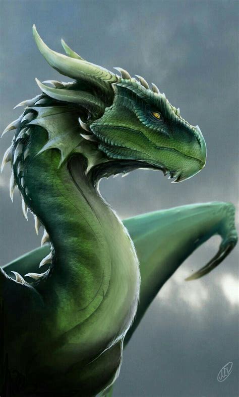 Dragon Green Dragons Dragon Artwork Dragon Pictures Fantasy Dragon