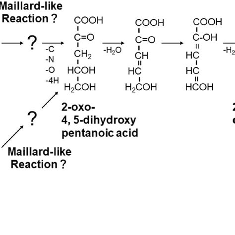 Hypothetical Pathway For Formation Of 2 Furancarboxylic Acid From NH4