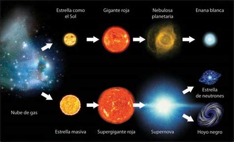 Elementos Del Universo Social Hizo