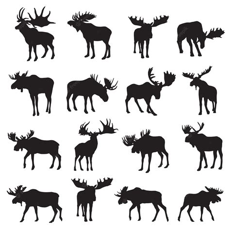 Moose Silhouette