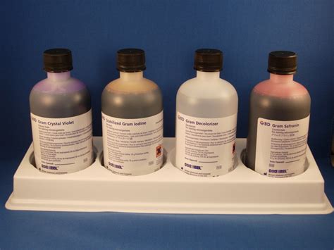 Bbl Gram Stain Kits Medix Your On Line Laboratory Supply Shop