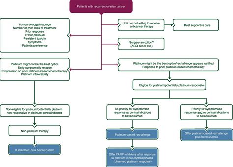 Ovarian Cancer Chemotherapy