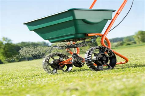 Getting To Know Seed Spreader The Exceptional Price Of Buying Seed