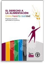 El derecho a la alimentación Cómo hacerlo realidad Progresos y