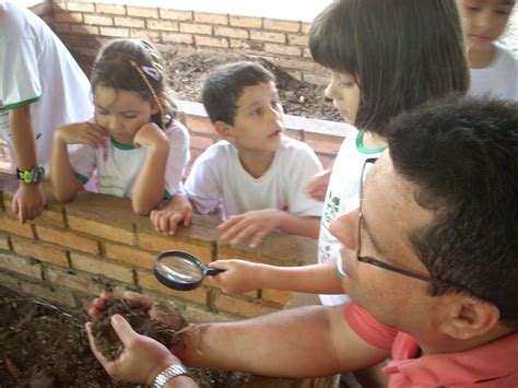 Projeto Cheirinho De Mato Oficinas No Cheirinho De Mato Qual A