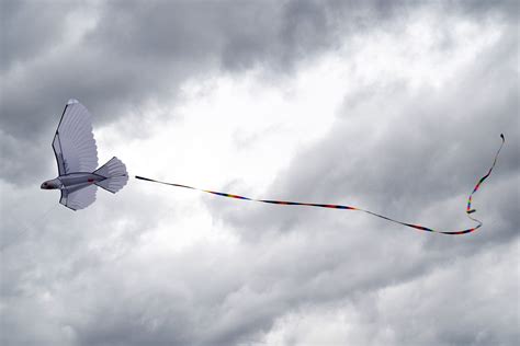 Белый голубь, воздушный змей купить в Москве интернет-магазине - Фкайт.ру