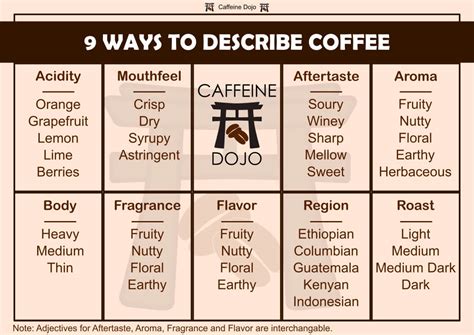 Coffee Tasting Notes: Definitive Guide For Beginners