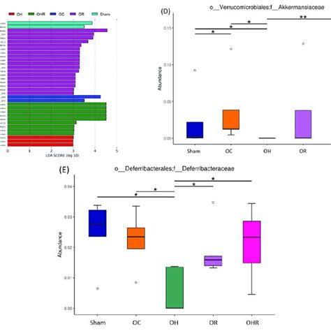 Gut microbiota profiles of the study groups. (A) Taxonomic distribution ... 