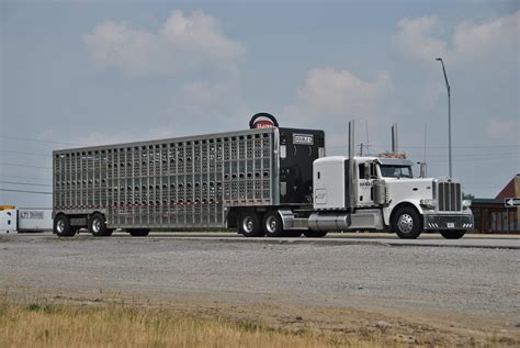 Double G Trucking Co Peterbilt Truckerswithcameras Flickr