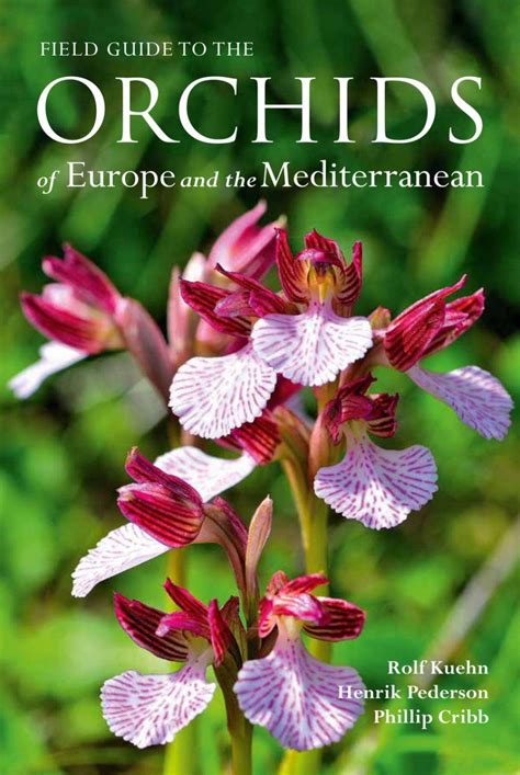 Field Guide To The Orchids Of Europe And The Mediterranean Nhbs Field