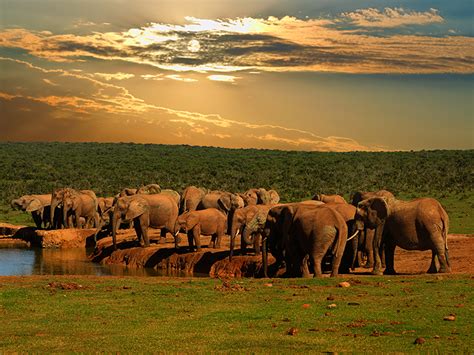 ADDO ELEPHANT NATIONAL PARK