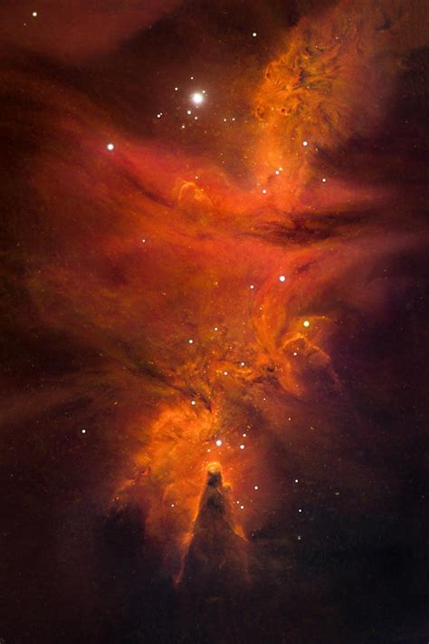 Christmas Tree Nebula Photograph by Ken Fong - Pixels