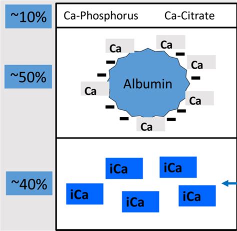 Calcium And Phosphorus Lecture Notes Practice Cases Ca Lab