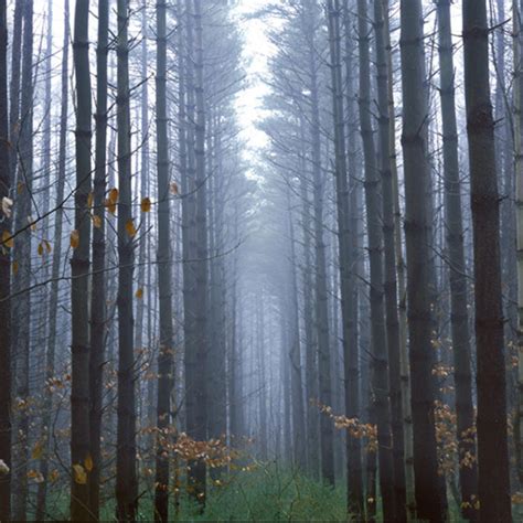 Kings Gap Environmental Education Center | Carlisle, PA 17015