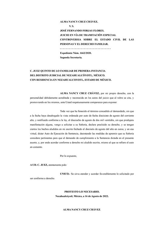 Solicitud De Ejecución De Sentencia En VÍa De Apremio Alma Nancy Cruz ChÁvez V S JosÉ