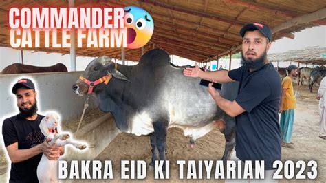 Khubsurat Janwar Bakra Eid Ke Liye Commander Cattle Farm Collection