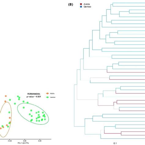 Difference and similarity of bacterial communities between the two ...