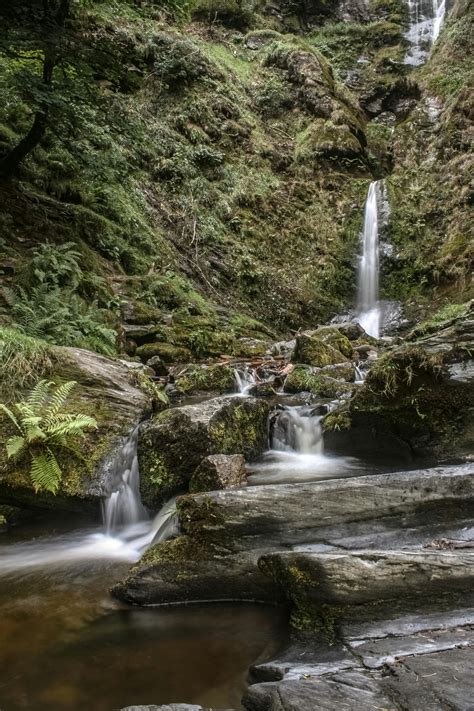 Waterfalls in Forest · Free Stock Photo