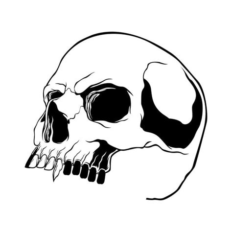 Skulls Clipart Transparent Png Hd Skull Vector Hard Core Skull Clipart