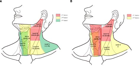 Frontiers Different Primary Sites Of Hypopharyngeal Cancer Have Different Lymph Node