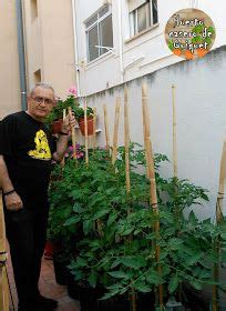 Huerto Casero De Quiquet Como Plantar Tomates En Cubos Macetas Y